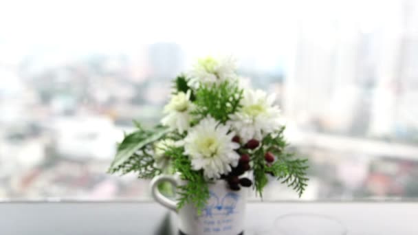 Flowers beside the windows — Stock Video