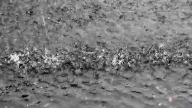 şiddetli yağmur su yüzeyine düşer