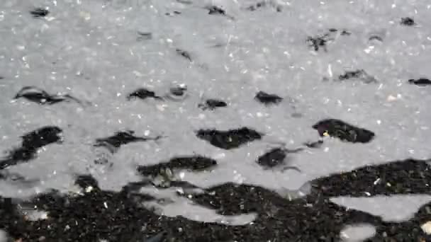 Les gouttes de pluie sur la surface de l'eau font de petites vagues — Video