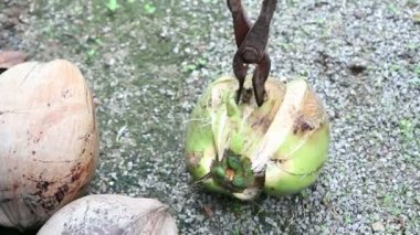 Hindistan cevizi meyve kapak Tayland DIY aracıyla keserek