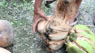 Hindistan cevizi meyve kapak Tayland DIY aracıyla keserek