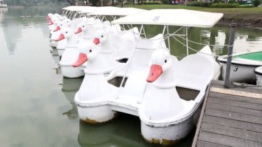 ördek tekne gölün doğal park