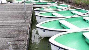 parkta Kiralık kürekli