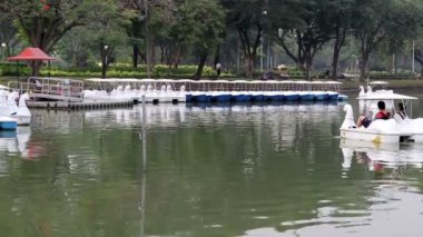 Aile Gölü doğal park ördek tekne sürme