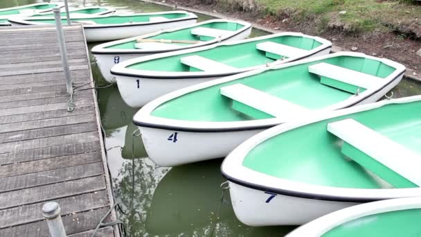 Hyra roddbåtar i parken — Stockvideo