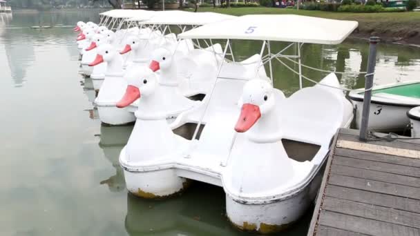 Ördek tekne gölün doğal park — Stok video