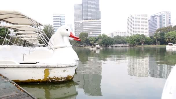 Утиная лодка на озере в природном парке — стоковое видео