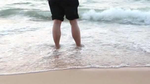 Camminare da soli sulla spiaggia — Video Stock