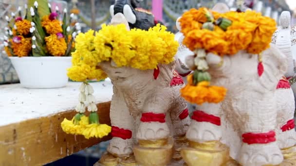 Small animal dolls in front of Buddha statue — Stock Video