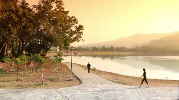 Correr alrededor de un lago natural — Vídeos de Stock