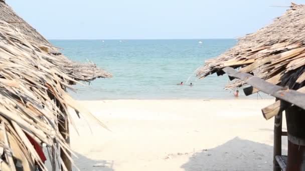 Mensen genieten van de zomer — Stockvideo