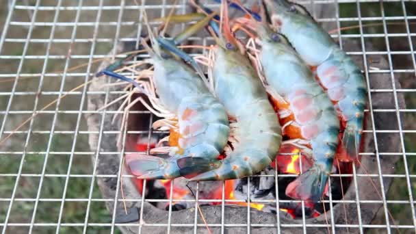 Délicieuses crevettes sur la cuisson au gril — Video