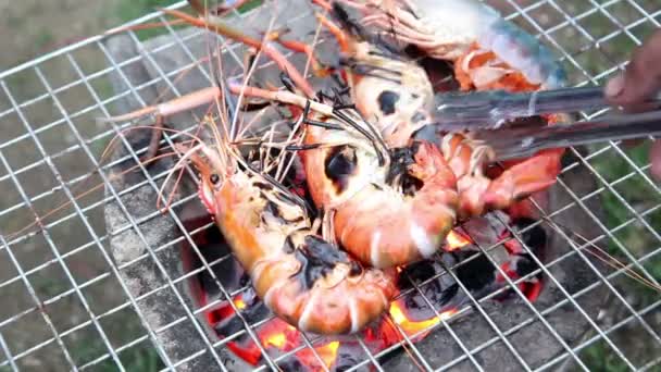 Délicieuses crevettes sur la cuisson au gril — Video