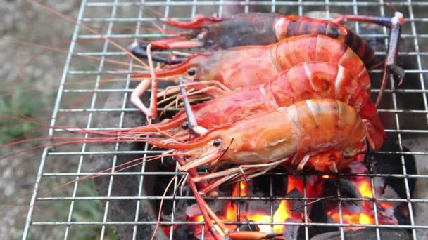 Délicieuses crevettes sur la cuisson au gril — Video