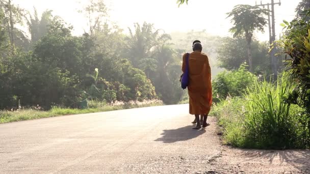 Βουδιστές μοναχοί περπάτημα — Αρχείο Βίντεο