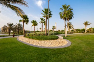 Suudi Arabistan 'ın Jeddah şehrindeki palmiye ağaçları