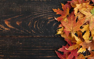 Turuncu sonbahar yaprakları koyu renkli, eski moda ahşap arka planda. Yukarıdan bak. Metin için çerçeve.