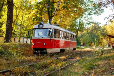 Kırmızı tramvay sonbahar ormanı boyunca gidiyor. Tramvaylı sonbahar manzarası