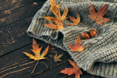 Örgü süveter, dökülen yapraklar ve meşe palamudu ile rahat sonbahar kompozisyonu.