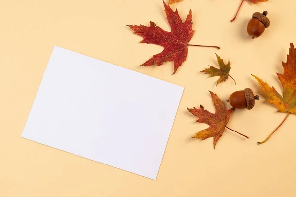 white blank card on the autumn background with fallen leaves. Colorful fallen autumn leaves on beige background