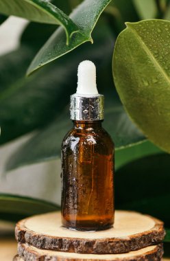 Kahverengi cam bir serum şişesi, gerekli yağ ya da diğer kozmetik ürünler, su damlaları olan büyük yeşil yapraklar arasında. Doğal organik kozmetik ambalaj, cilt bakımı konsepti
