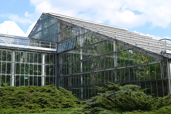 Palmiarnia Building Park Wilsona Poznan Beautiful Glass House City Greenhouse — Stockfoto
