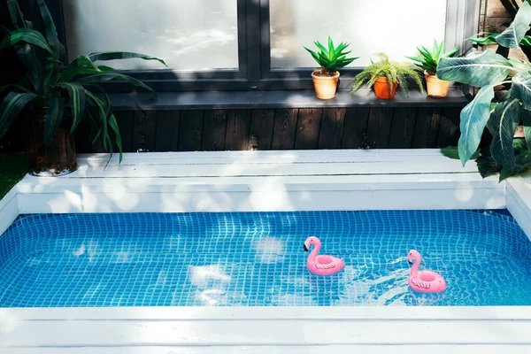 Exterior terrace with swimming pool in the house. Pink inflatable flamingos in pool water