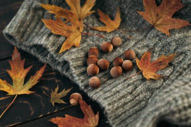 Autumn composition. Knitted grey plaid or scarf and fallen leaves on dark wood background. Hello Autumn, Cozy atmosphere. Flat lay, copy space. High quality photo
