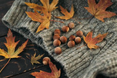 Autumn composition. Knitted grey plaid or scarf and fallen leaves on dark wood background. Hello Autumn, Cozy atmosphere. Flat lay, copy space. High quality photo