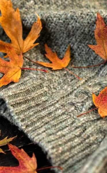 Autumn composition. Knitted plaid or scarf and fallen leaves on dark grey background. Hello Autumn, Cozy atmosphere. Flat lay, copy space