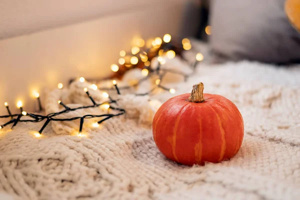 Bodegón Otoño Calabaza Punto Blanco Cuadros Con Guirnalda Decoración Para — Foto de Stock