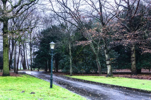 地面に木 葉を持つ公園内の足の道 — ストック写真
