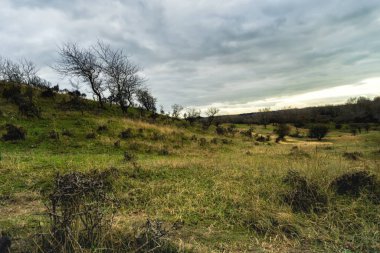 3400 hektarlık arazisiyle, Amsterdamse Waterleidingduinen Hollanda 'nın en büyük sürekli yürüme alanlarından biridir ve Amsterdam' ın içme suyunun 2 / 3 'ü Waterleidingduinen' de önceden arındırılmıştır..