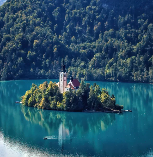 Lago Rodeia Ilha Bled Ilha Tem Vários Edifícios Sendo Principal — Fotografia de Stock