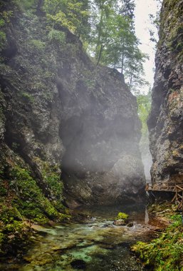 Slovenya 'daki ünlü Vintgar vadisi (soteska Vintgar) veya Bled Gorge (Blejski vintgar). Sonbaharda turkuaz renkli Radovna nehrinin manzaralı kanyonu ile inanılmaz doğa manzarası, seyahat arka planı