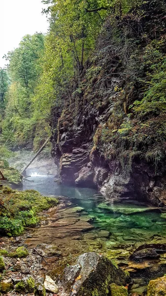 Vintgar Gorge Canyon Eslovenia Cerca Del Lago Bled Naturaleza Salvaje — Foto de Stock