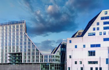 Amsterdam Westerdok bölgesindeki modern binanın çatısı ağaç dolu.