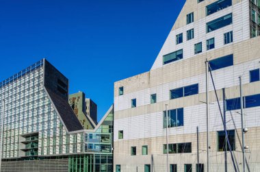 Amsterdam Westerdok bölgesindeki modern binanın çatısı ağaç dolu.