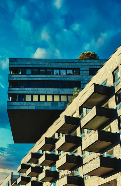 Detalle Del Edificio Moderno Zona Amsterdam Westerdok Con Árbol Azotea — Foto de Stock
