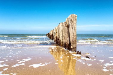 Hollanda 'daki Cadzand plajı dalga kırıcıları.