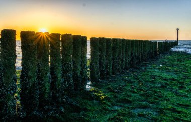 Cadzand, Zeeland, Hollanda 'daki Hollanda kıyılarında güzel bir deniz manzarası. Batılıların denizinde bir sıra martıyla dalgakıran var.