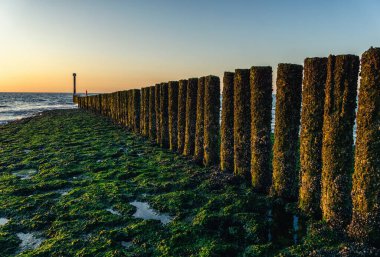 Cadzand, Nethlerand sahillerinde dalga kırıcılar.