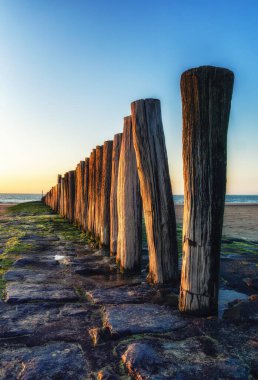 Kuzey Denizi, Hollanda 'da kaybolan kutup başları ya da dalga kırıcılar.