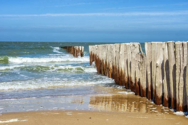 Wavebreakers Cadzand Beach Netherlands — Fotografia de Stock
