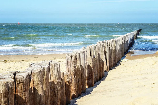 Пляж Кадзанд Нідерланди — стокове фото