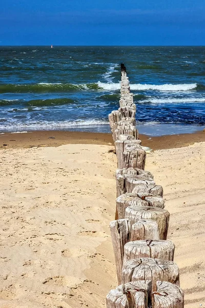Wooden poles on the beach to break the waves at Cadzand, The Netherlands