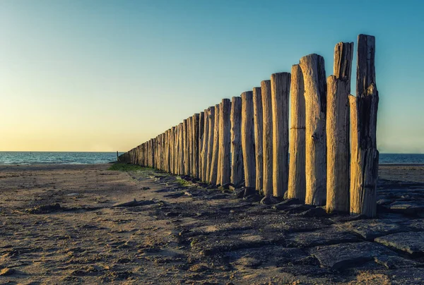 Dalgakıranlar alçak sularda ve gün batımında.