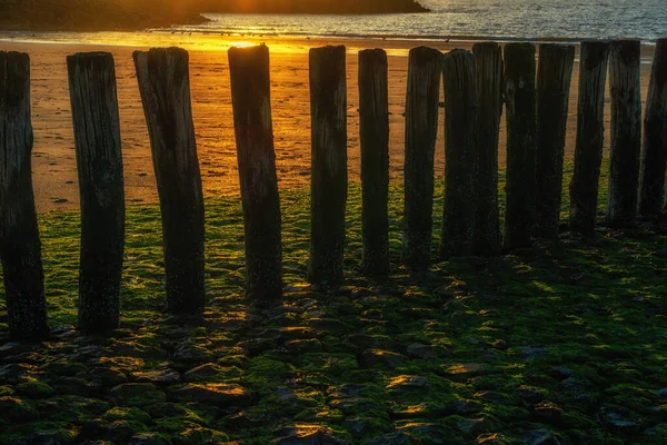Wavebreakers Beach Zeeland Sunset — Stock Photo, Image