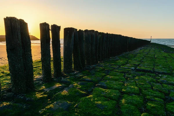Розламати Болота Пляжі Зеландії Під Час Заходу Сонця — стокове фото