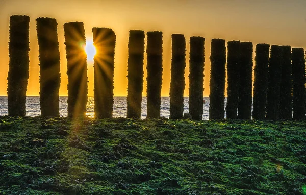 Gün batımında Zeeland sahilinde dalga kırıcılar.